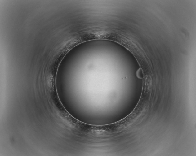 X0000113000650200909031254