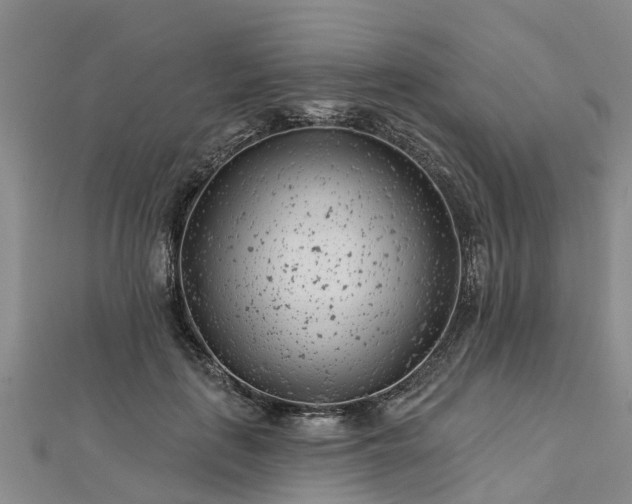 X0000113000651200909031254