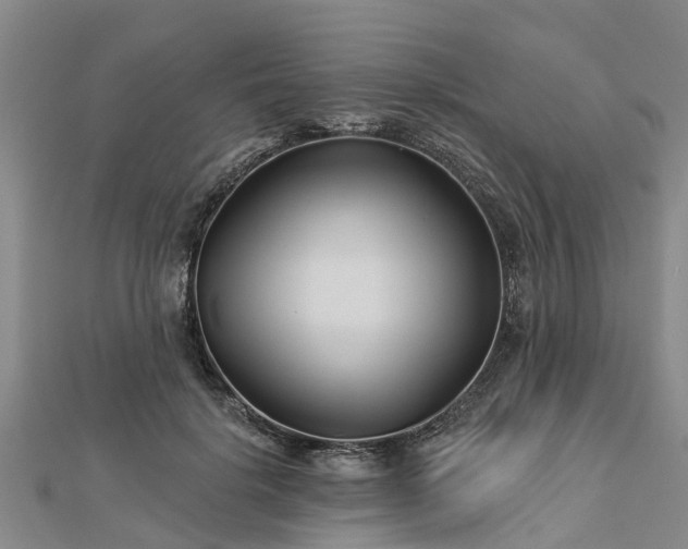 X0000113000652200909031254