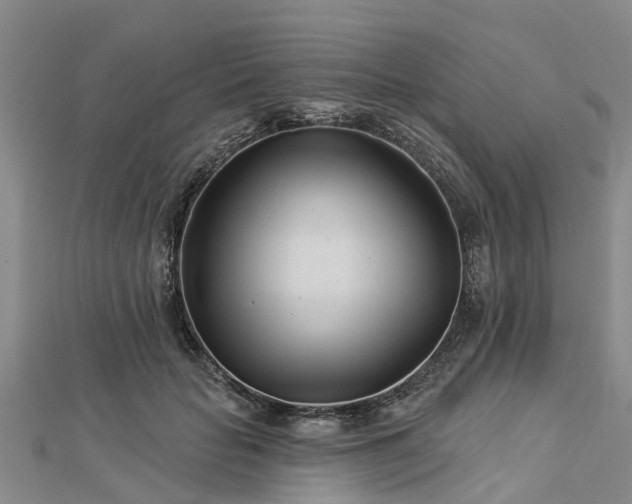 X0000113000653200909031254