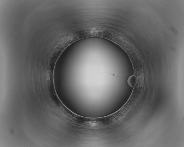 X0000113000654200909031254