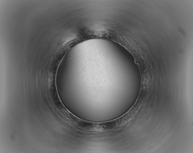 X0000113000656200909031254