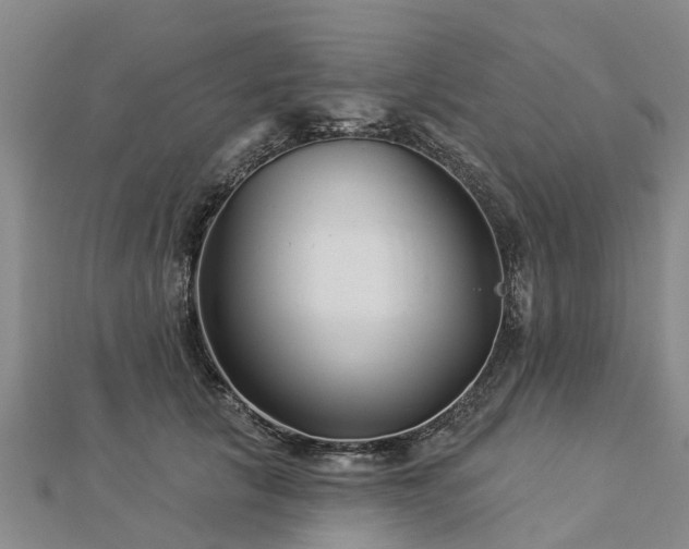 X0000113000657200909031254