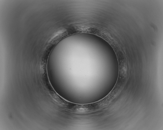 X0000113000658200909031254