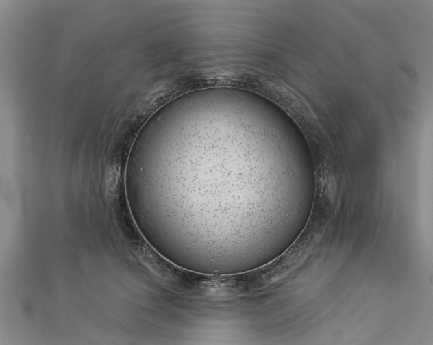 X0000113000660200909031254