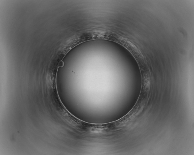 X0000113000661200909031254