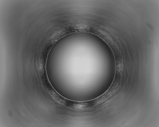 X0000113000662200909031254