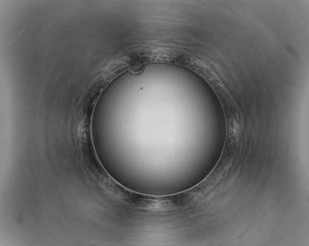 X0000113000663200909031254