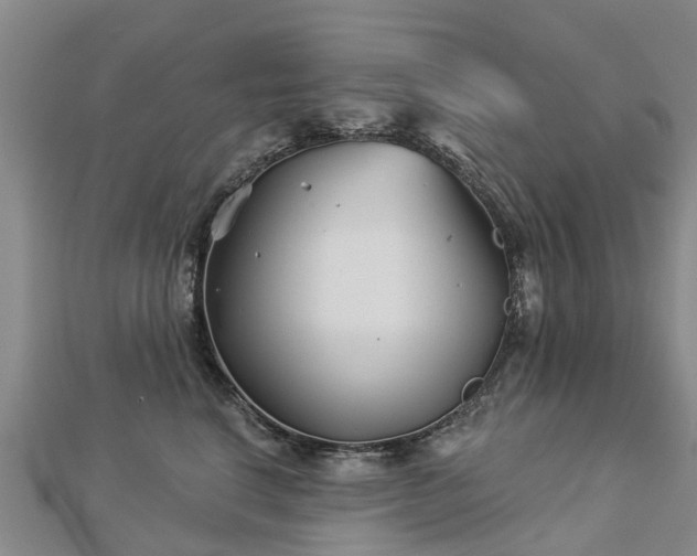 X0000113000664200909031254