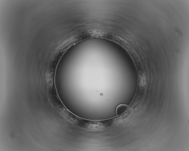 X0000113000666200909031254