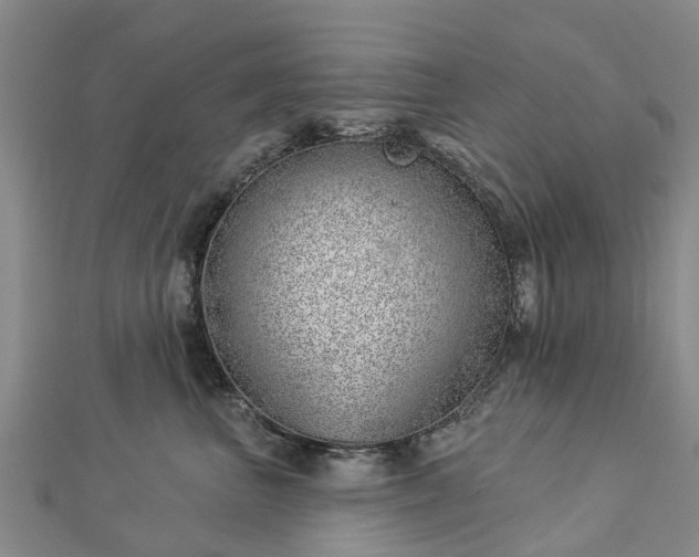 X0000113000667200909031254