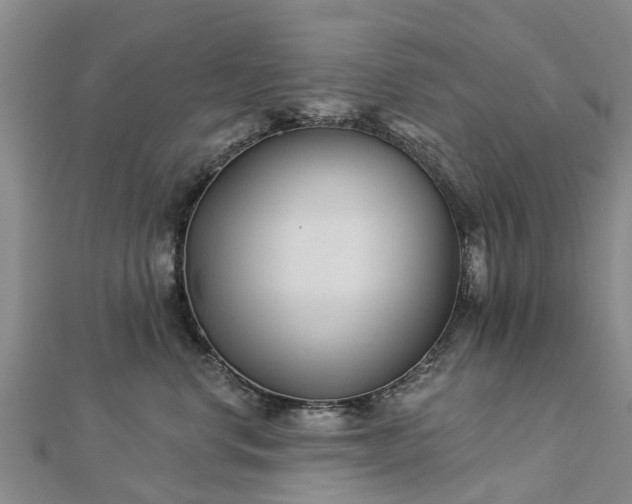 X0000113000668200909031254