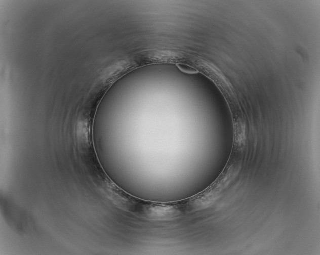 X0000113000669200909031254