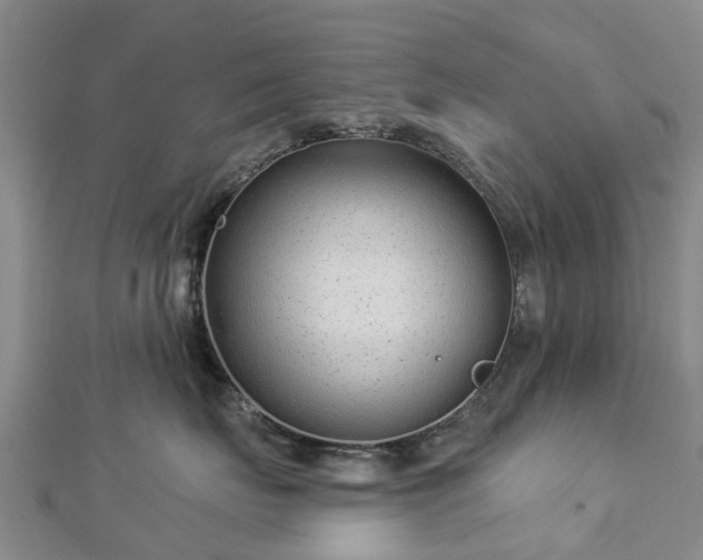 X0000113000671200909031254