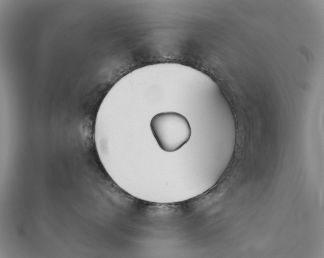 X0000113000672200909031254