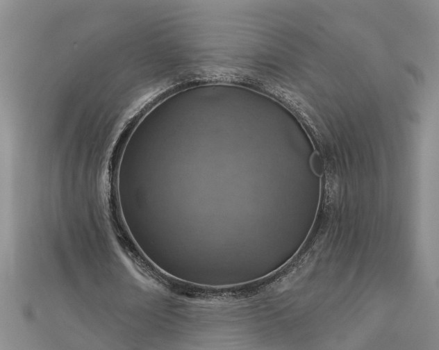 X0000113000674200909031254