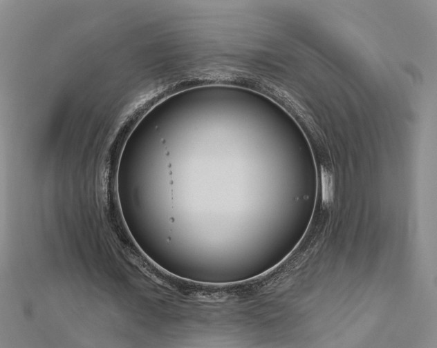 X0000113000675200909031254