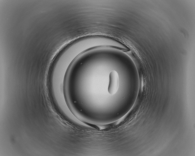 X0000113000676200909031254