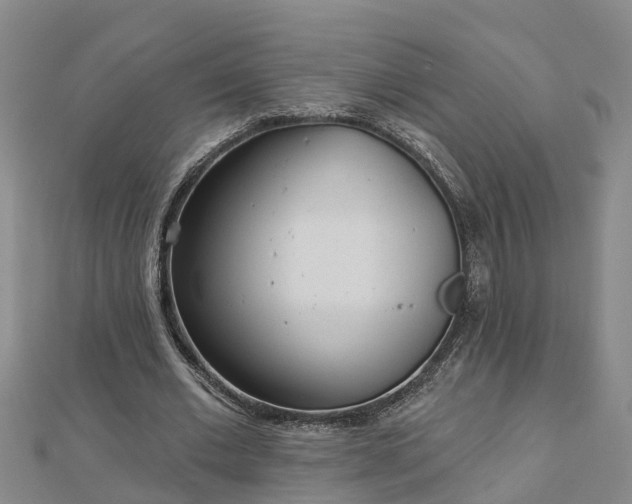 X0000113000677200909031254