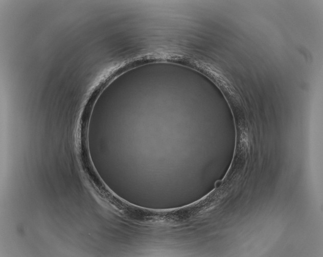 X0000113000678200909031254