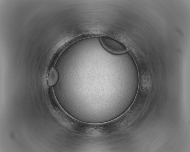 X0000113000680200909031254