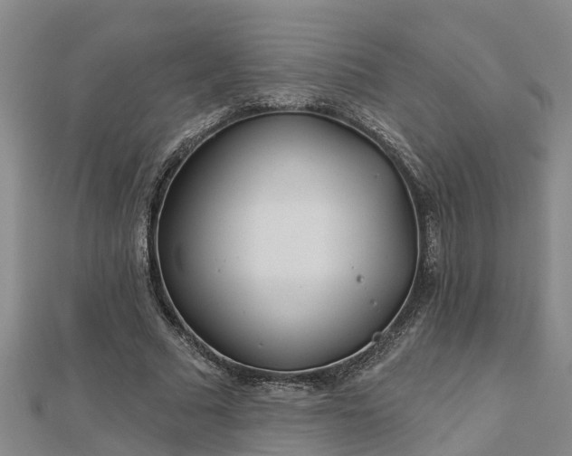 X0000113000681200909031254