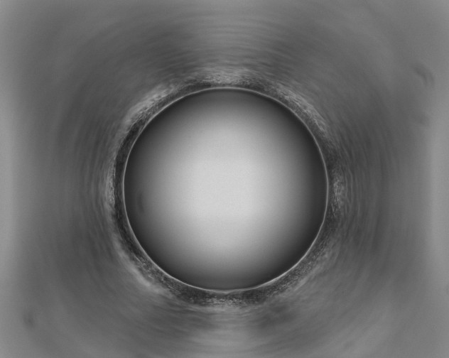 X0000113000682200909031254