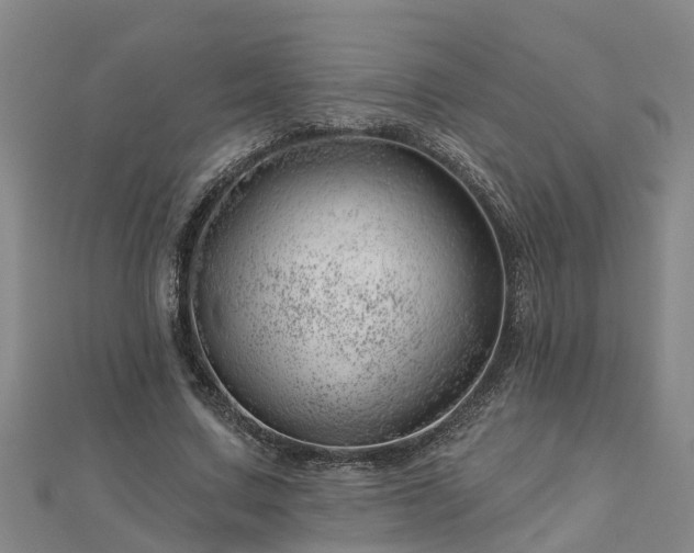 X0000113000683200909031254