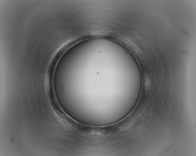 X0000113000684200909031254