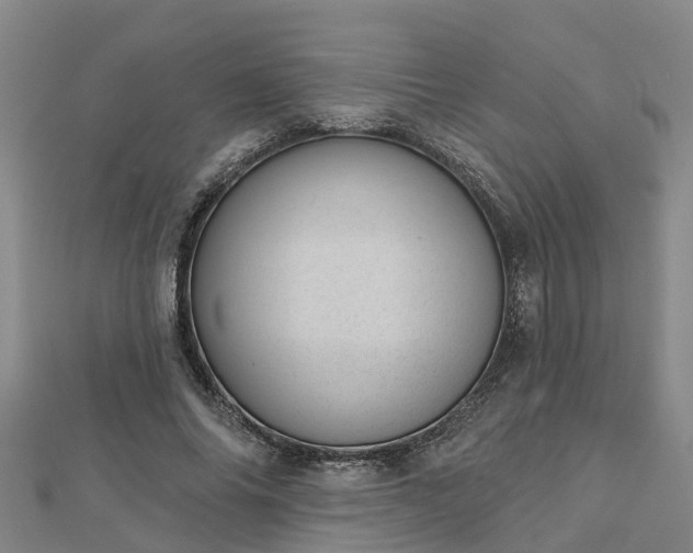 X0000113000686200909031253