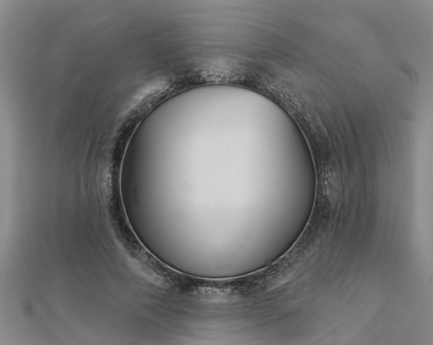 X0000113000690200909031253