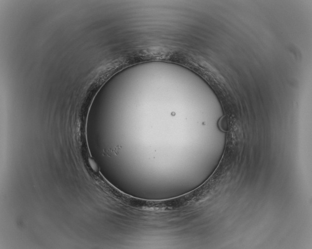 X0000113000693200909031253