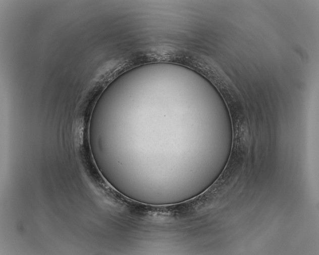 X0000113000694200909031253