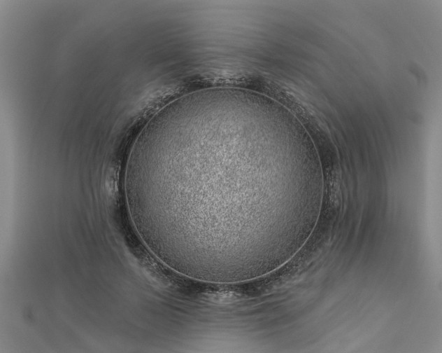 X0000113000695200909031253