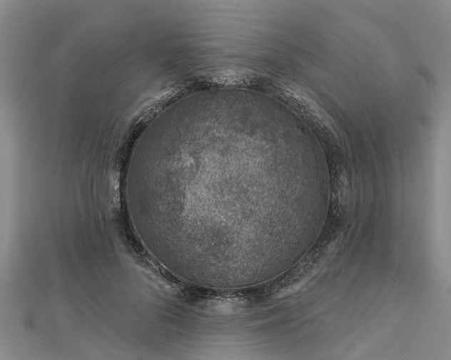 X0000113000696200909031253