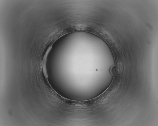 X0000113000697200909031253