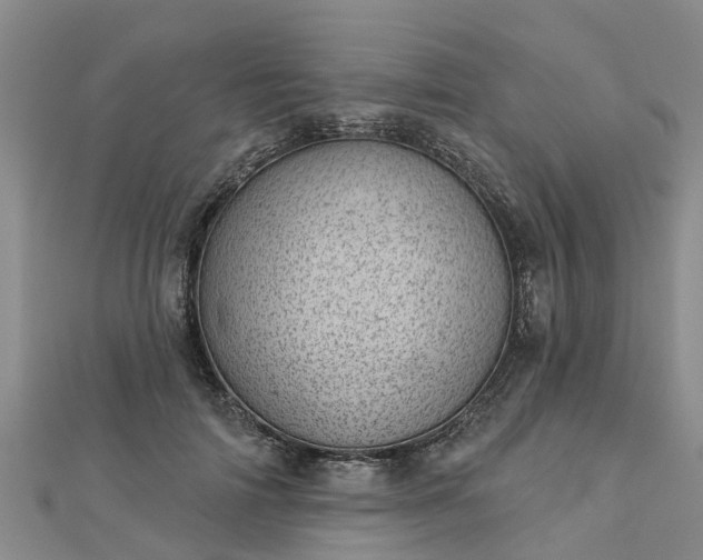 X0000113000698200909031253