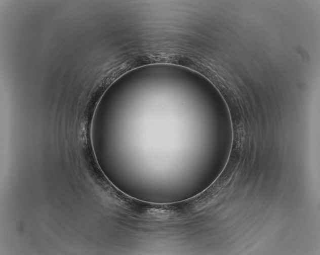 X0000113000699200909031253