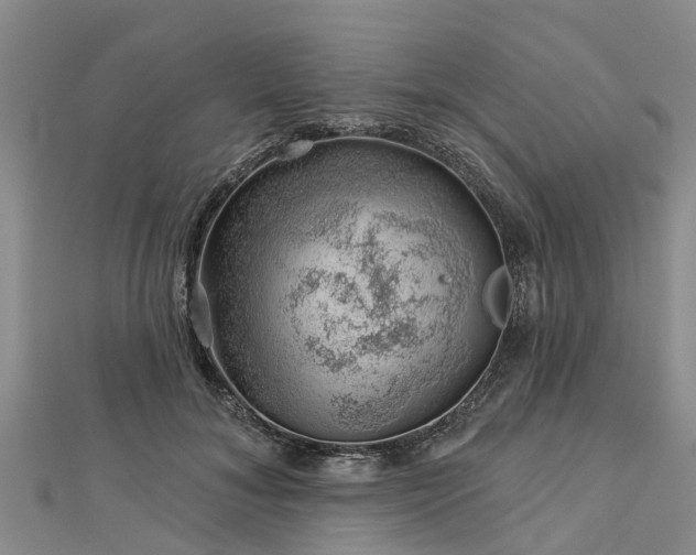 X0000113000700200909031253