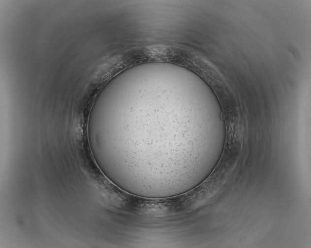 X0000113000702200909031253