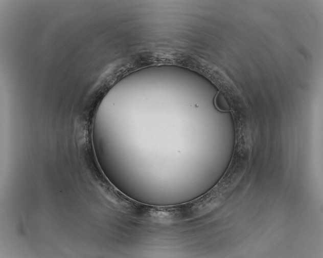 X0000113000706200909031253