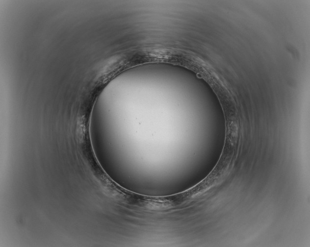 X0000113000707200909031253