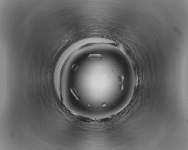 X0000113000708200909031253