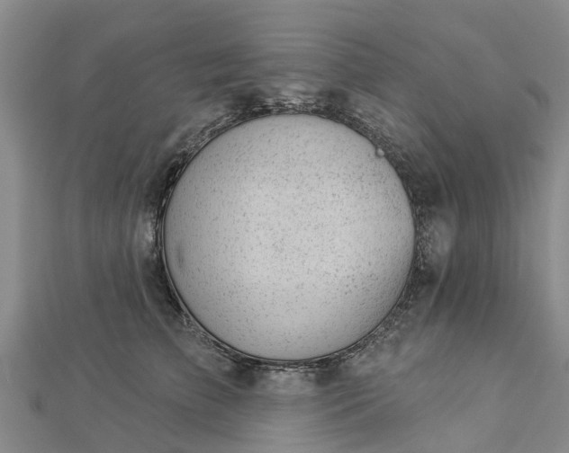 X0000113000709200909031253