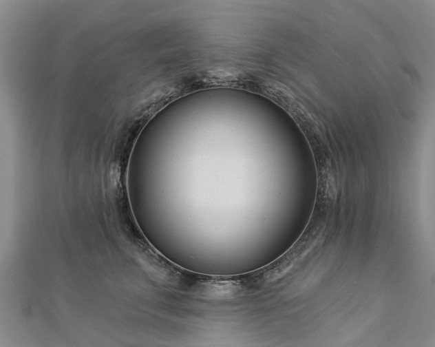 X0000113000711200909031253