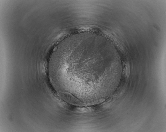 X0000113000712200909031253