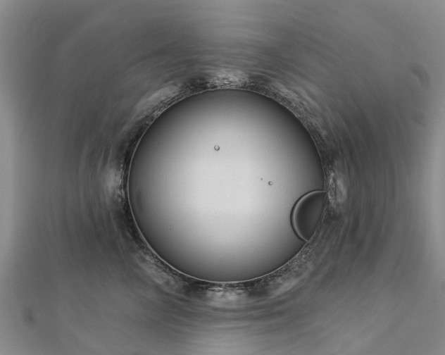 X0000113000714200909031253