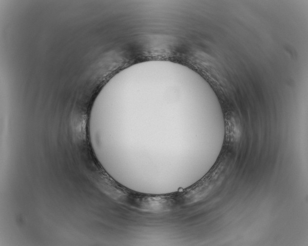 X0000113000717200909031253