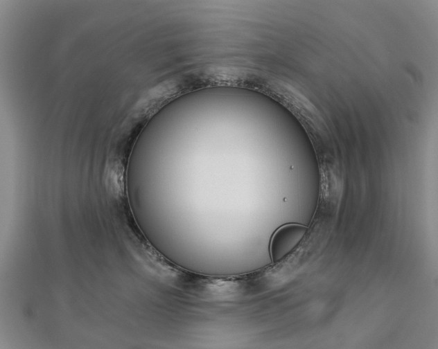 X0000113000718200909031253