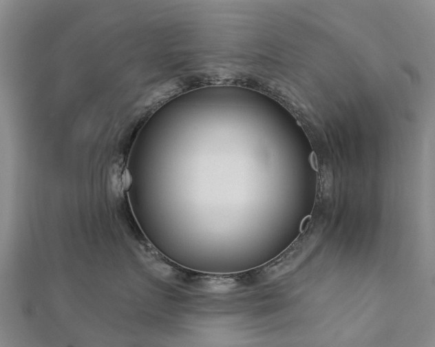 X0000113000719200909031253